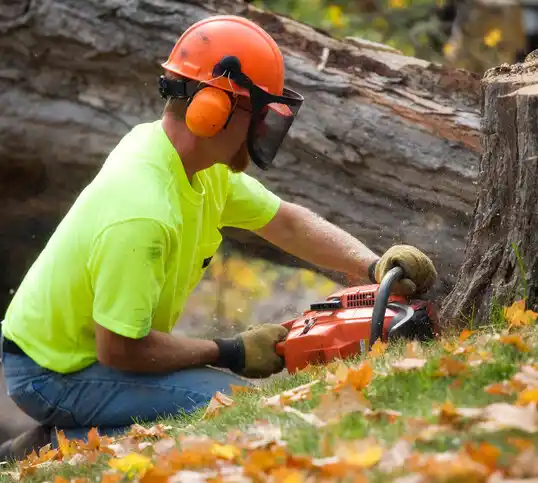 tree services Groveton